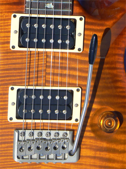 2005 PRS Custom 24, 20th Anniversary, 10 Top